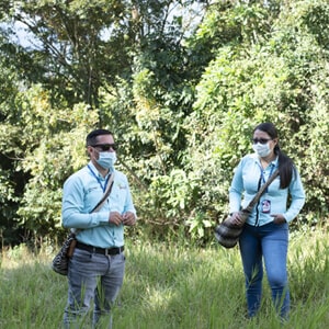 fundación Yuma Siembra